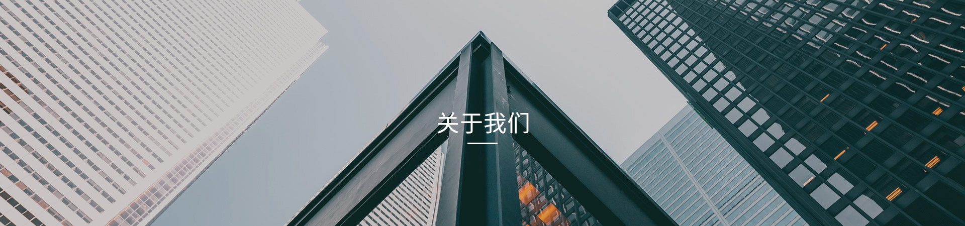 搜索结果